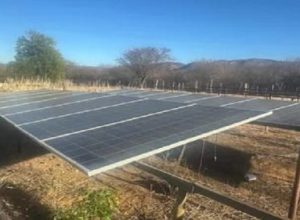 Plantacao-de-maconha-com-sistema-de-energia-solar-e-destruida-na-Bahia
